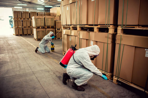 Best Best Pest Control Companies  in Bellflower, CA