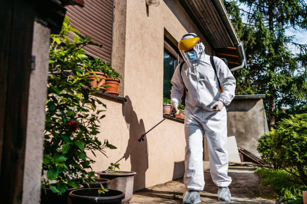 Best Wildlife Control Services  in Bellflower, CA