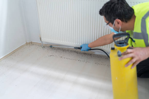 Best Pest Inspection Near Me  in Bellflower, CA
