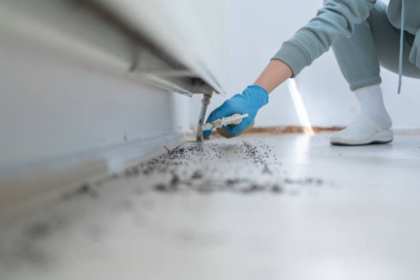 Bellflower, CA Pest Control Company